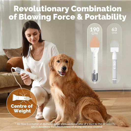 Pet Dryer Hair Dryer for Dogs