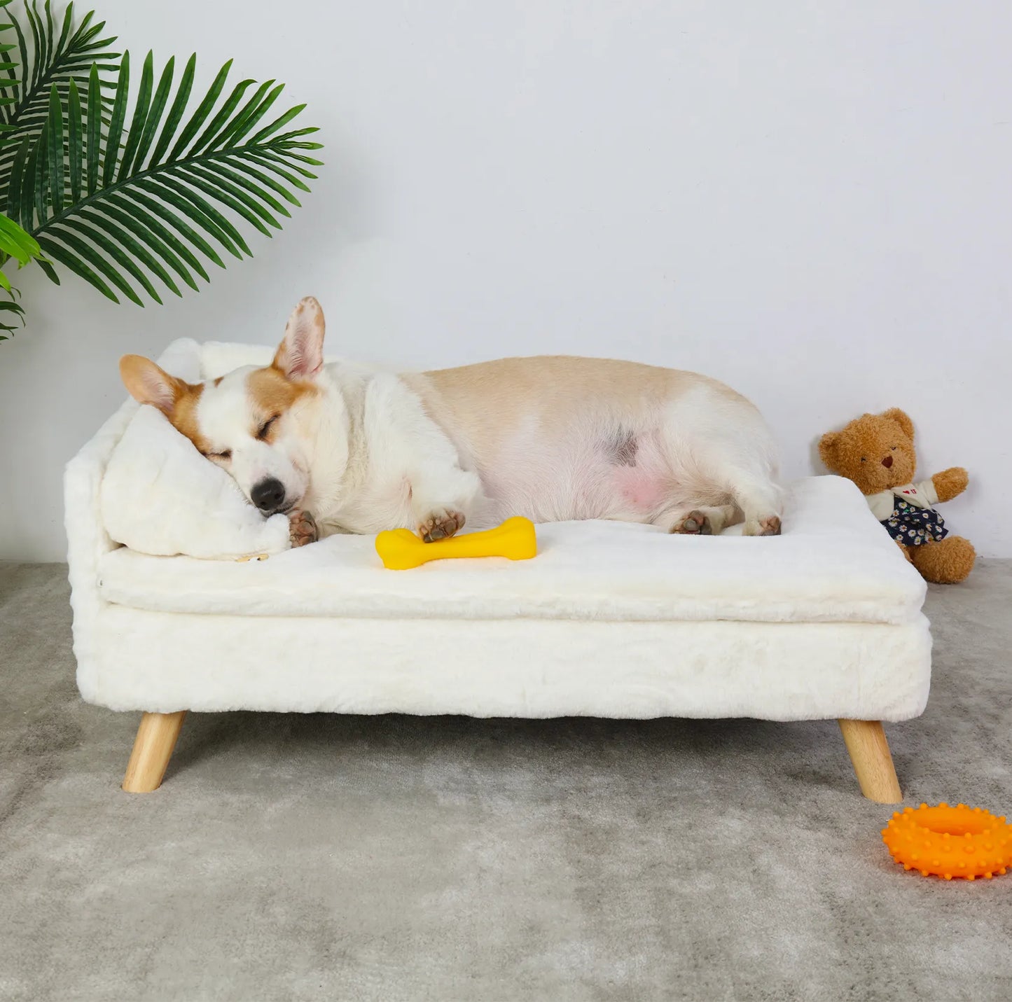 Elevated Pet Bed, with Cozy Waterproof Pad, Pet Sofa Bed with Sturdy Wood Legs for Small Dog Kitten