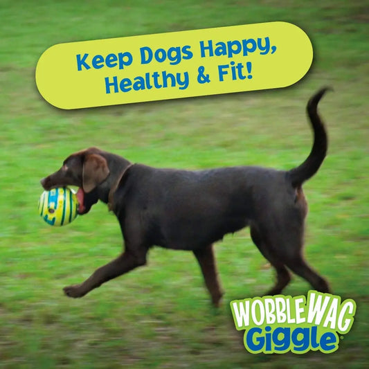 Wobble Wag Giggle Glow Ball Interactive Dog Toy Giggle Sounds When Rolled or Shaken