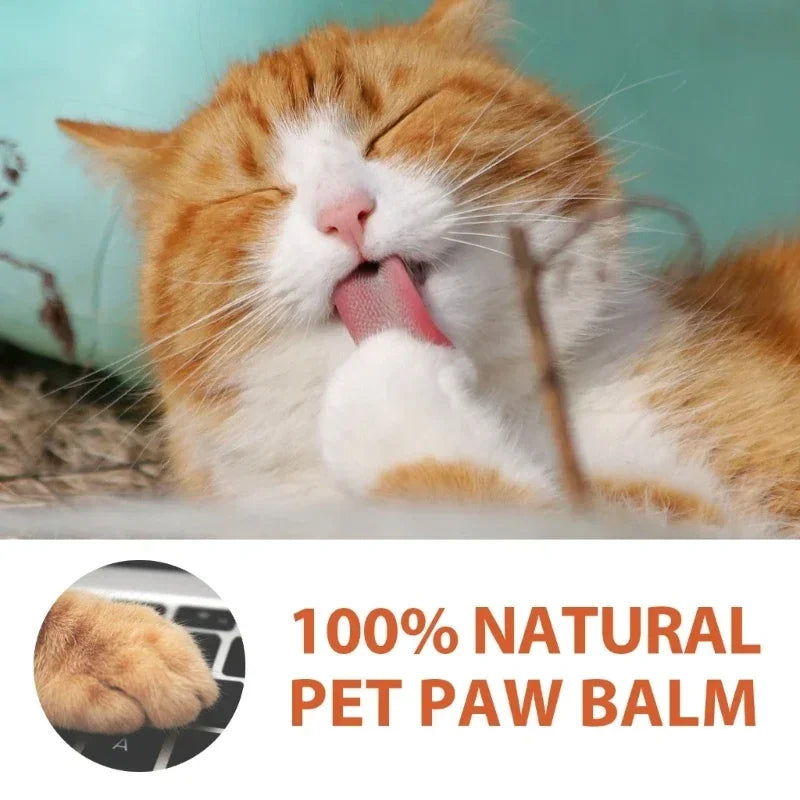 Natural Dog Paw Balm Protection for Hot Pavement Wax for Dry Paws & Nose Moisturizer for Cracked Paws